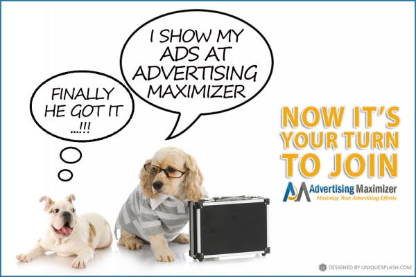 Advertising Maximizer II